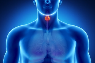 Balancing Blood Sugar For Thyroid Health