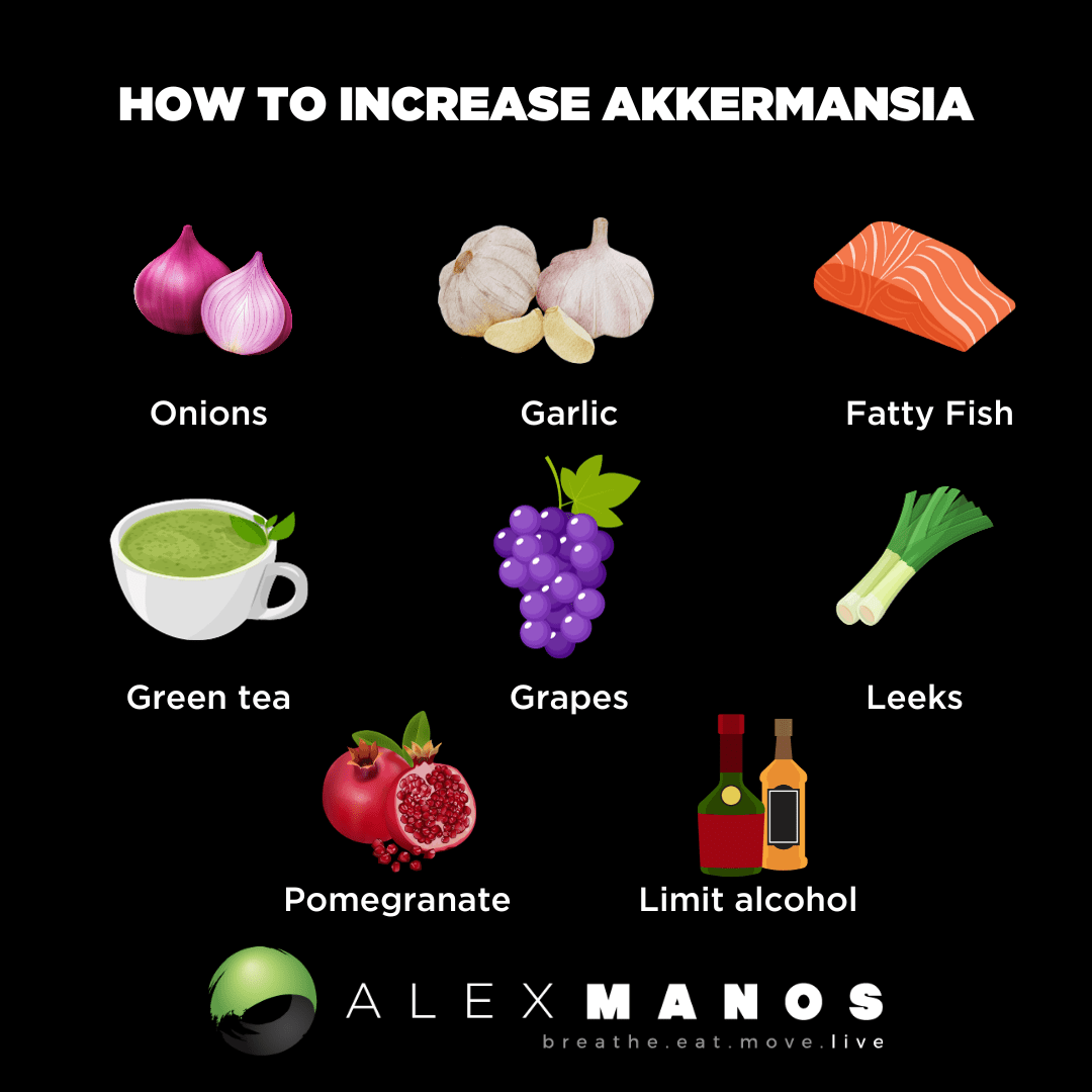 How To Increase Akkermansia