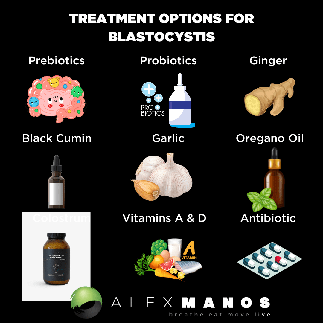 Treatment options for blastocystis hominis