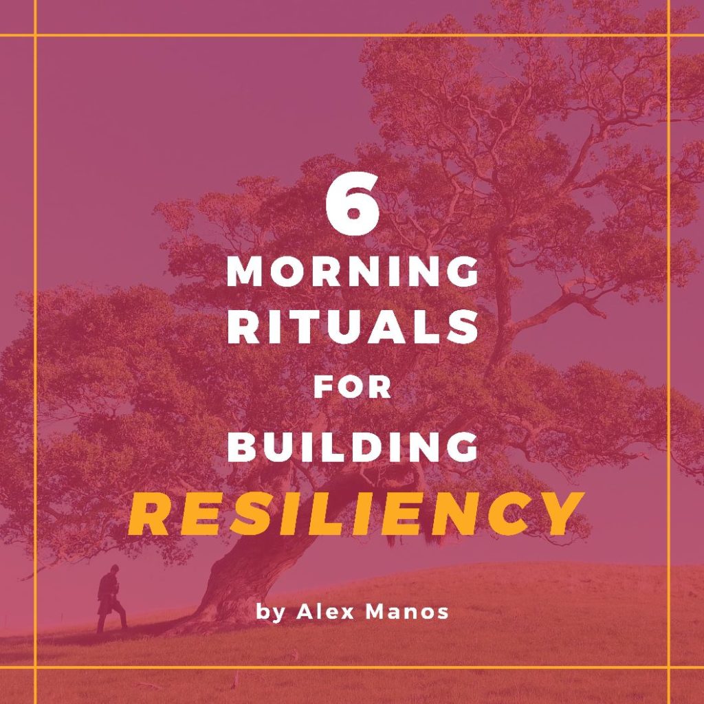 resiliency pdf 1 converted 3 pdf
