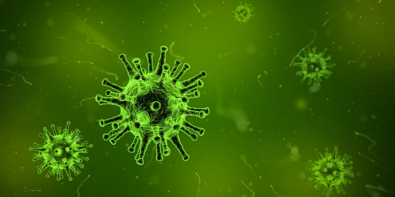 viral infections