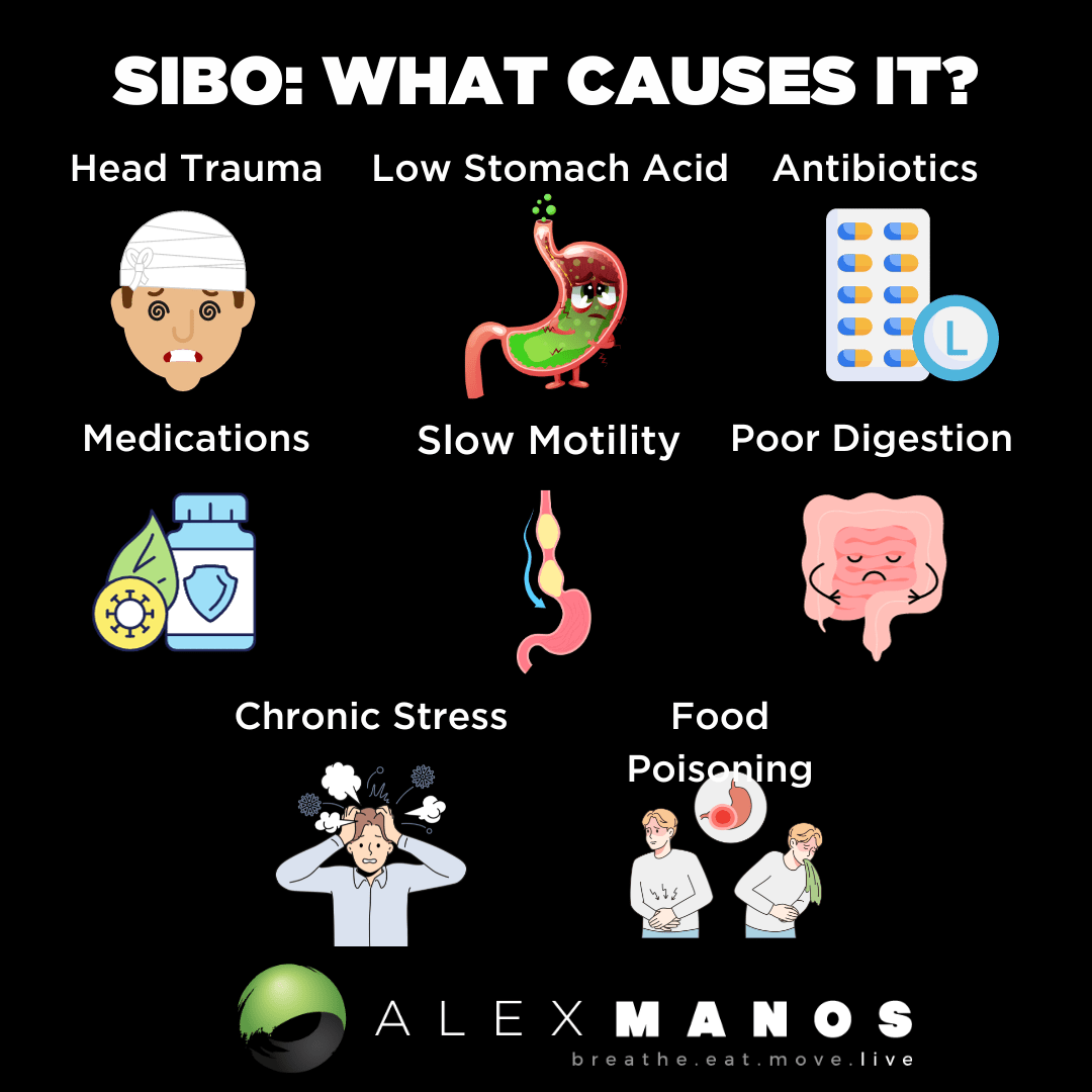 SIBO: What Causes It?