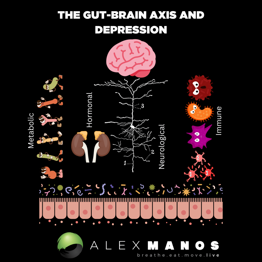 Gut brain axis depression