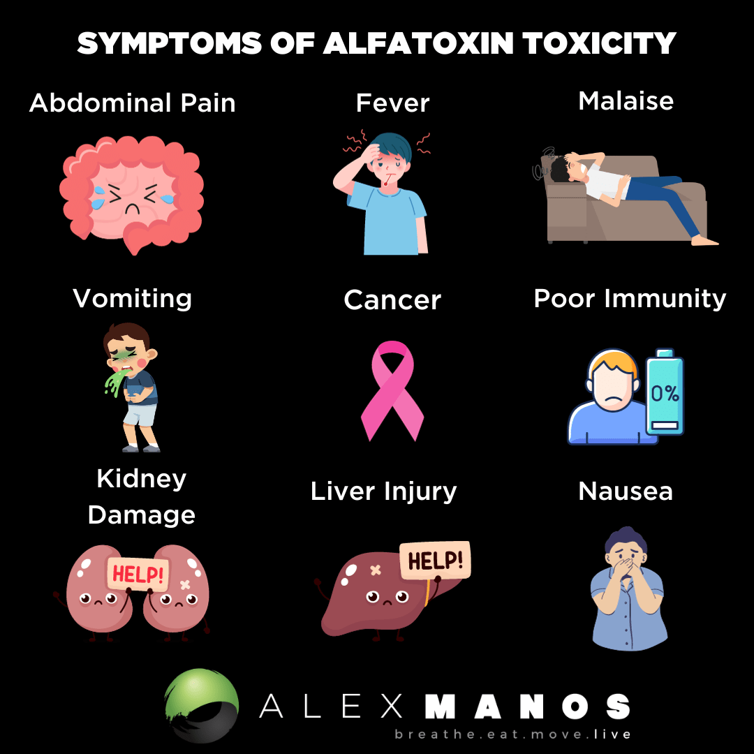 Symptoms of alfatoxin toxicity