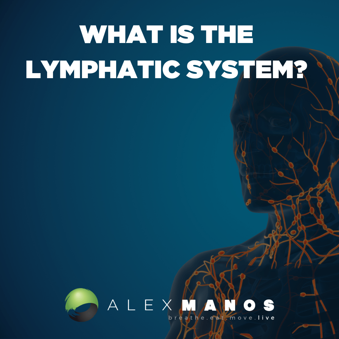 The Lymphatic System