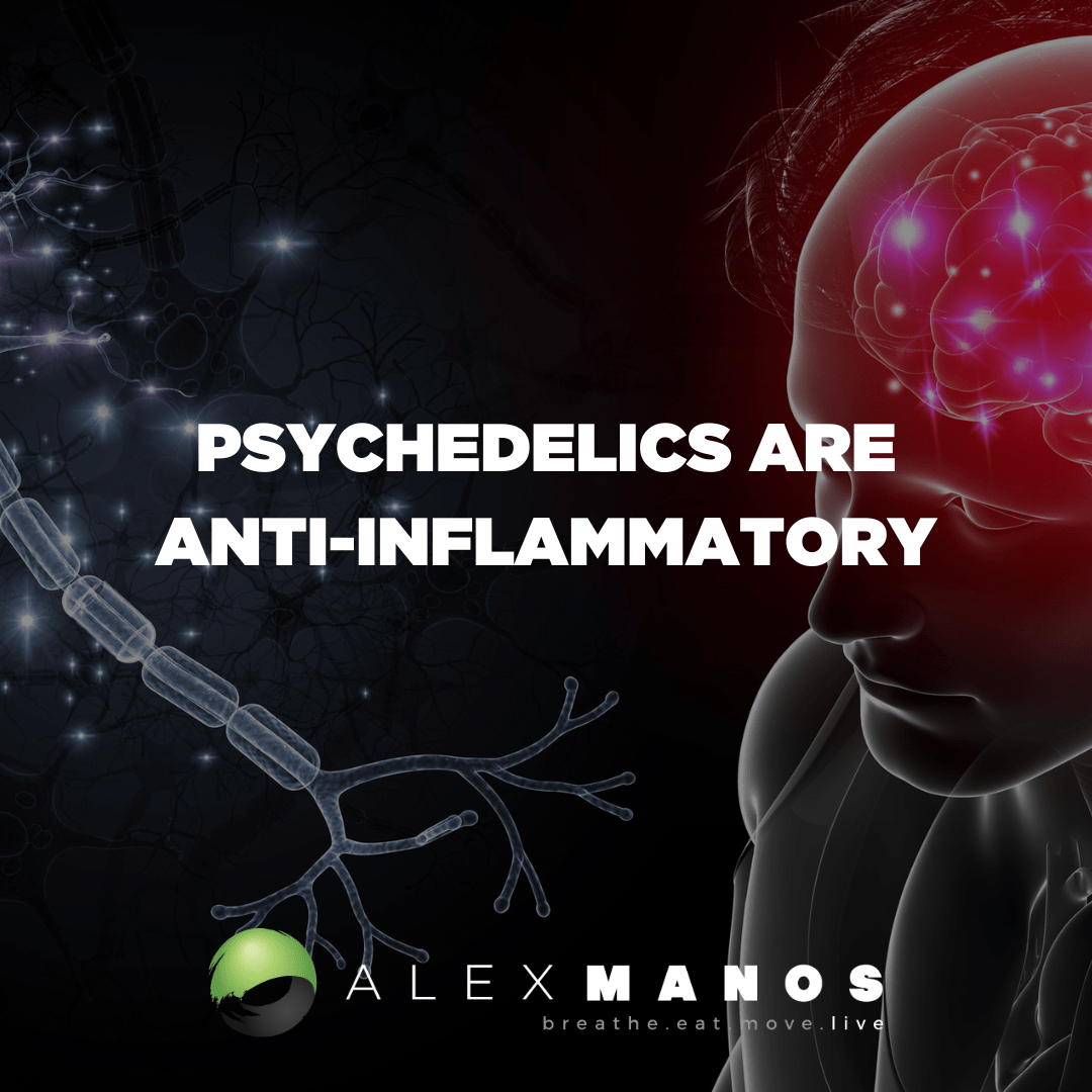 Psychedelics Are Anti-Inflammatory