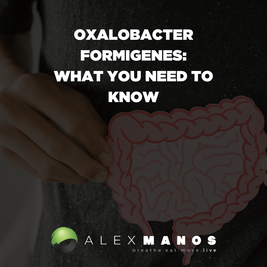 Oxalobacter formigenes