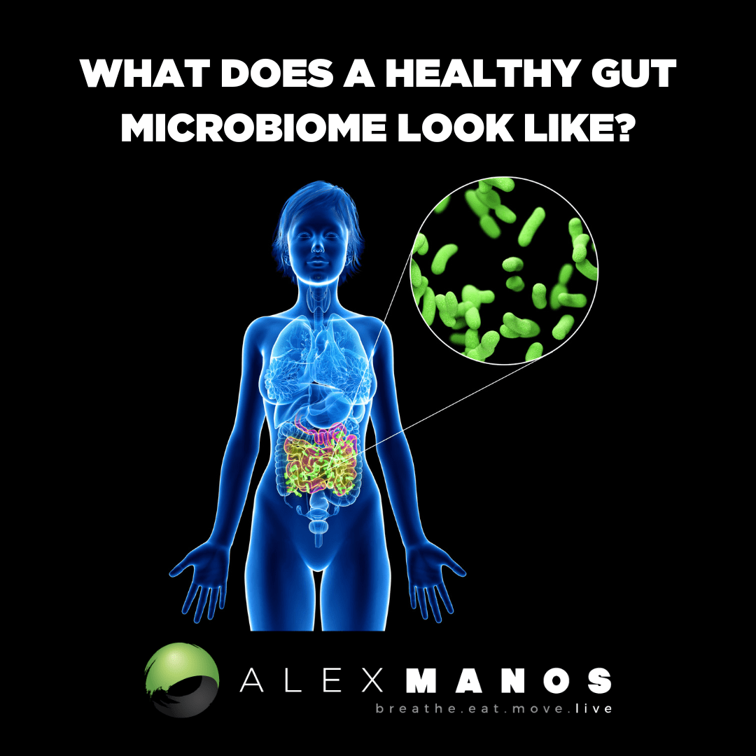 What Does A Healthy Gut Microbiome Look Like?
