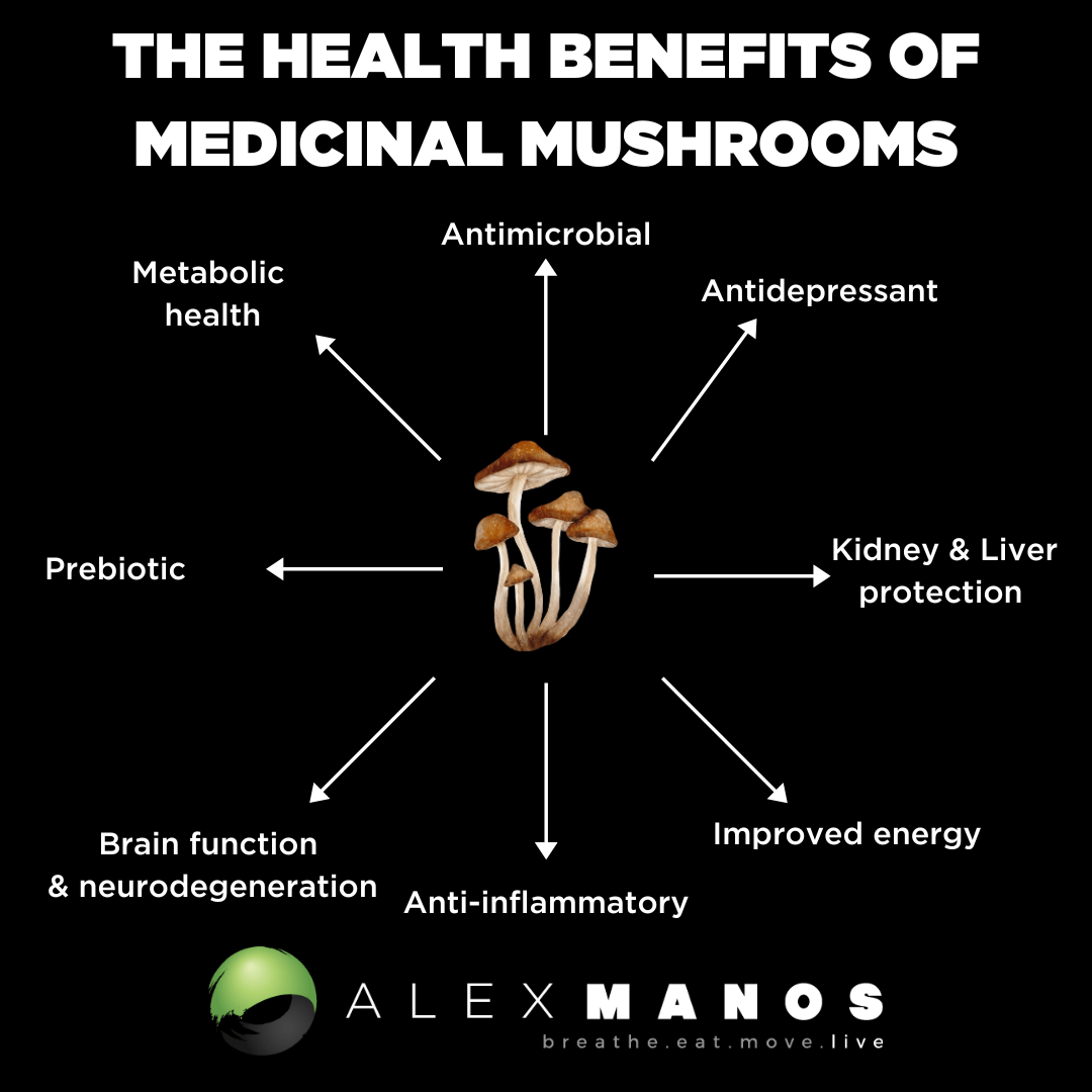 health benefits of medicinal mushrooms