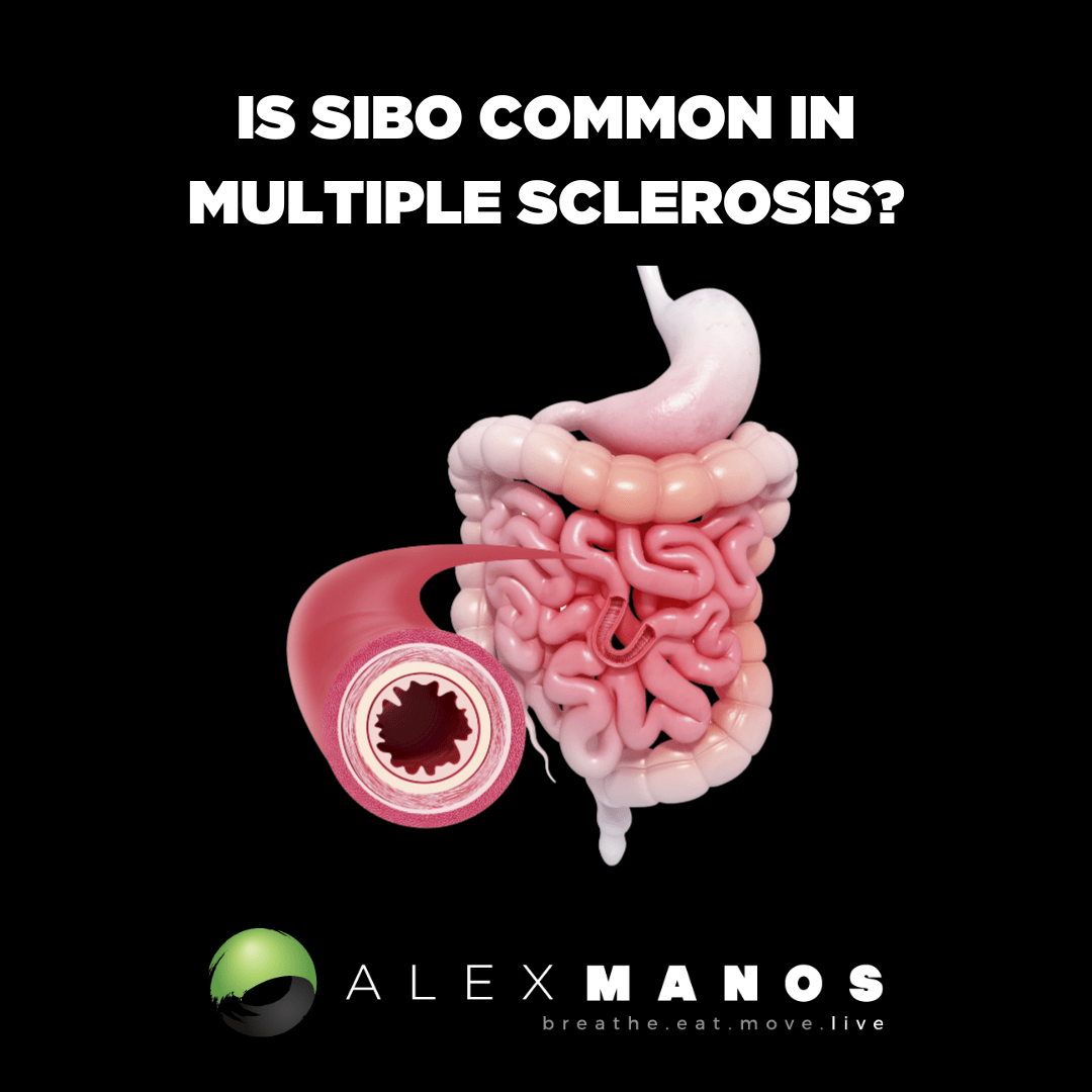 Is SIBO Common In Multiple Sclerosis?