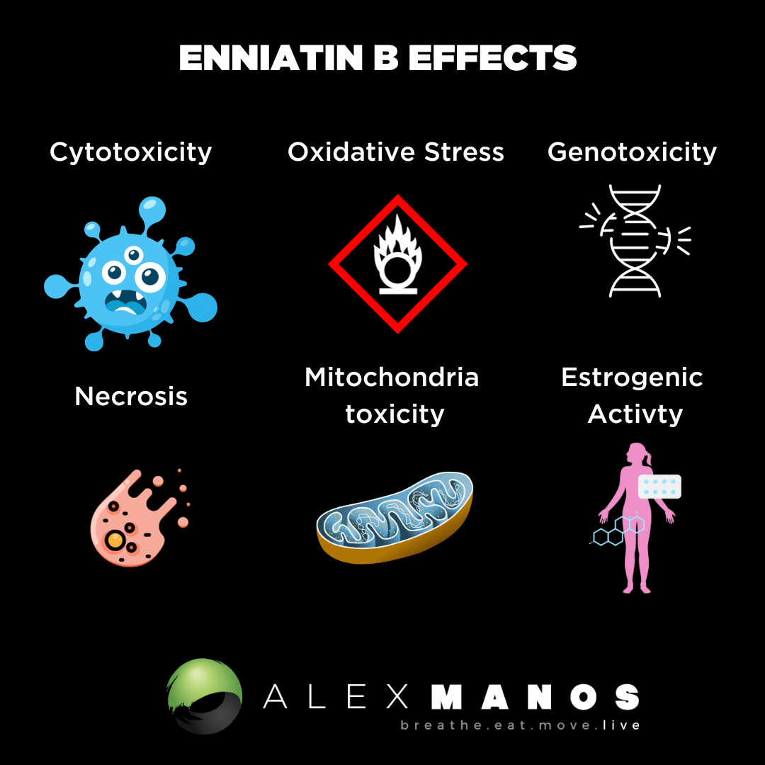 Enniatin B