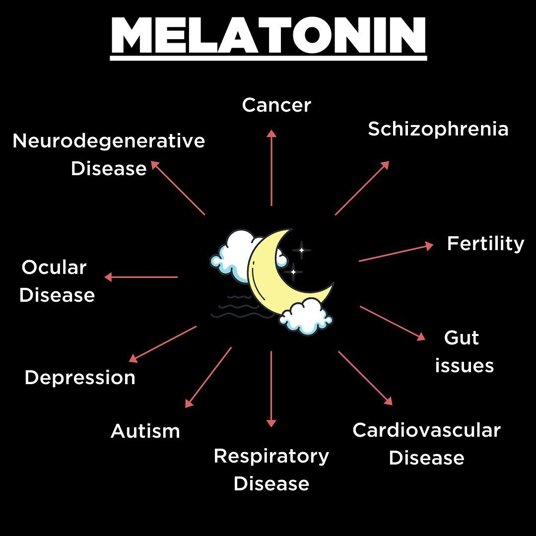 melatonin and gut health