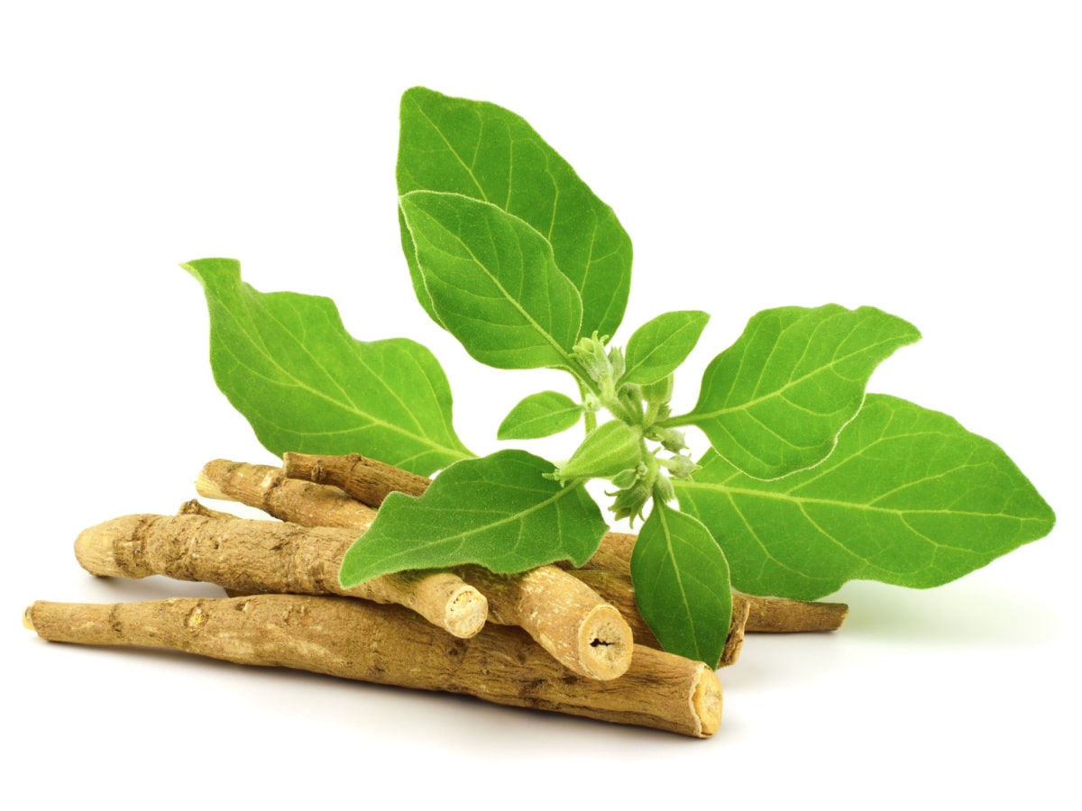 Ashwagandha side effects
