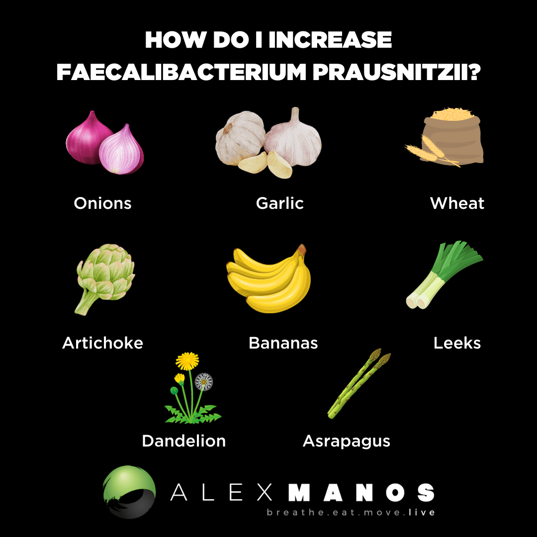 How Do I Increase Faecalibacterium Prausnitzii?
