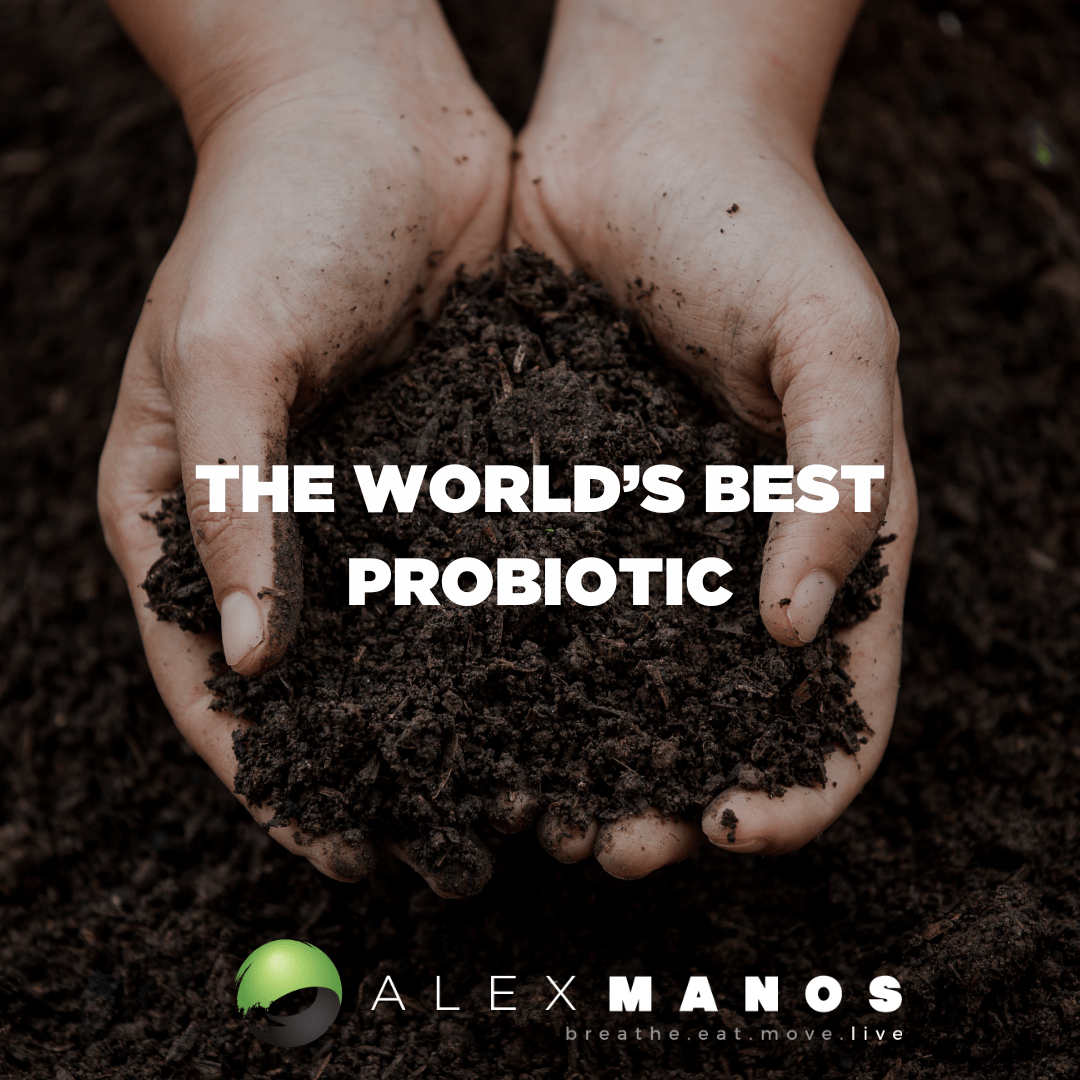 Soil And Human Health
