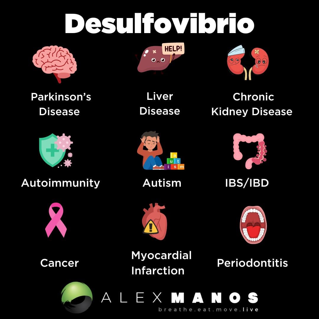 Desulfovibrio