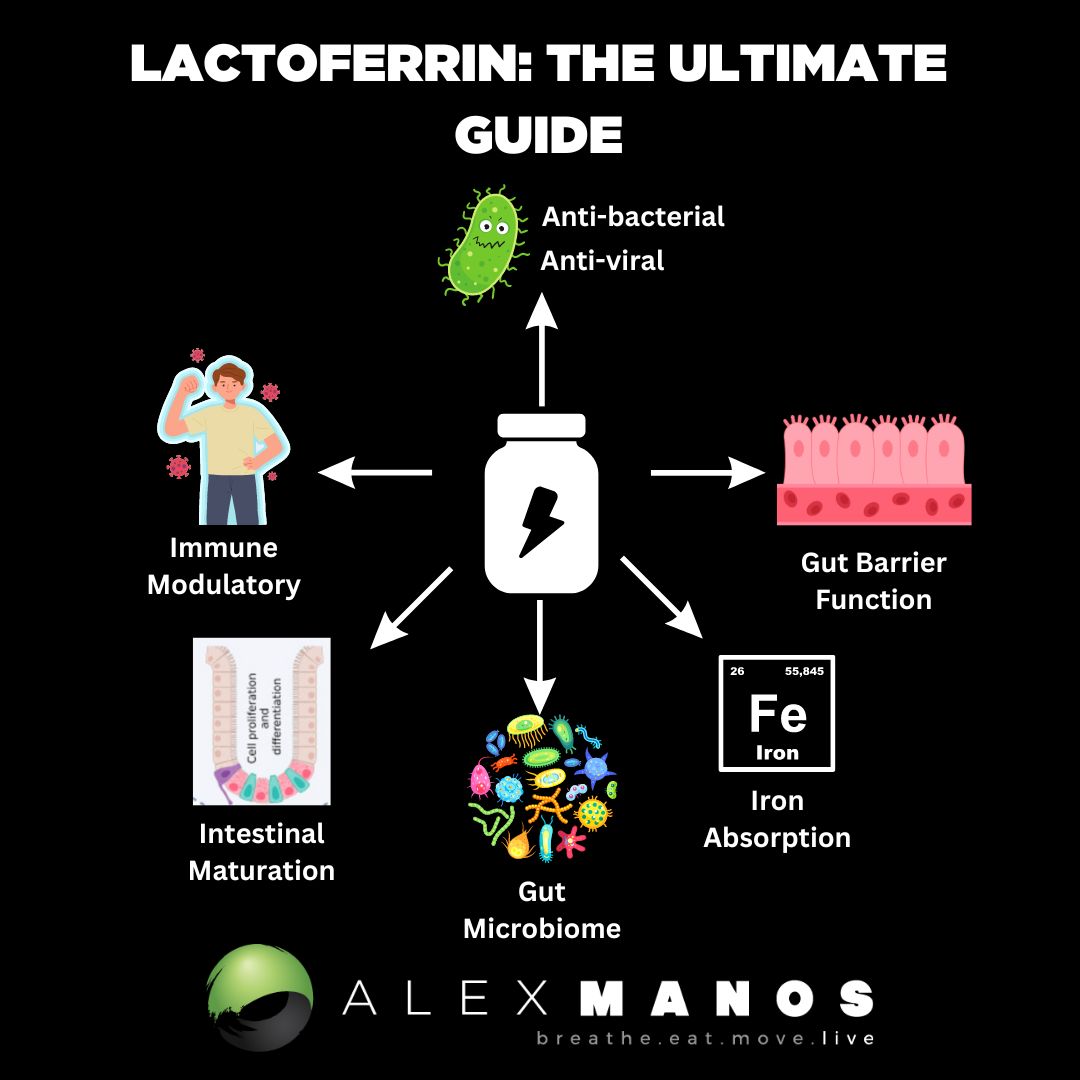 Lactoferrin