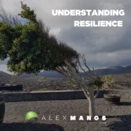 Understanding Resilience